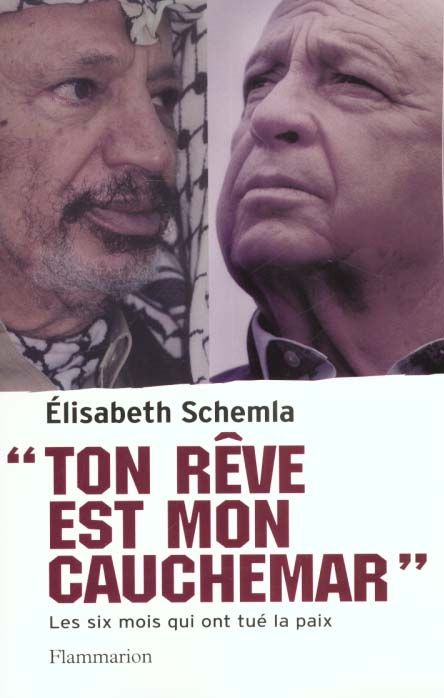 Emprunter Ton rêve est mon cauchemar. Les six mois qui ont tué la paix livre