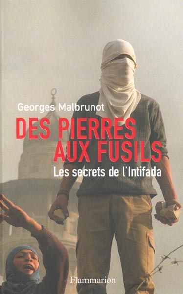 Emprunter Des pierres aux fusils. Les secrets de l'Intifada livre