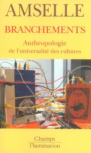 Emprunter Branchements. Anthropologie de l'universalité des cultures livre