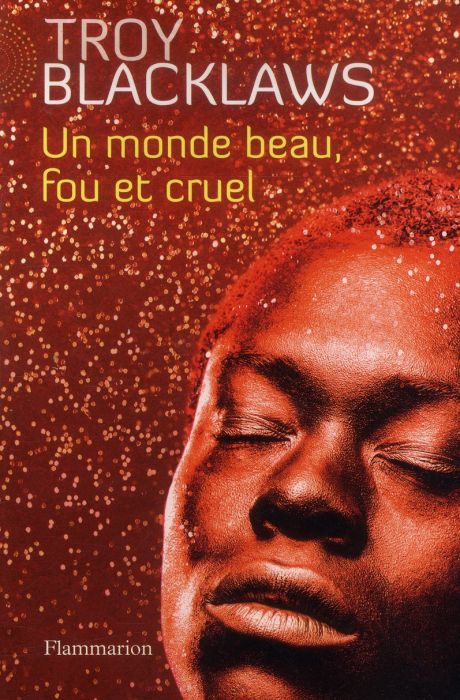 Emprunter Un monde beau, fou et cruel livre