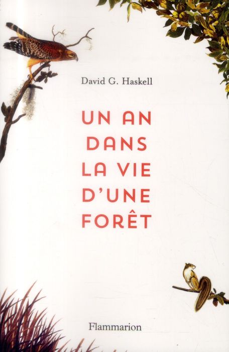 Emprunter Un an dans la vie d'une forêt livre