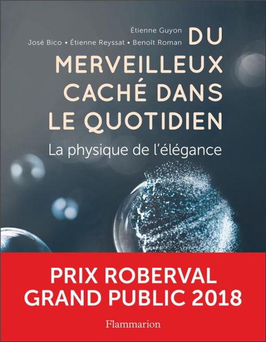 Emprunter Du merveilleux caché dans le quotidien. La physique de l'élégance livre