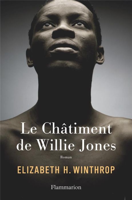 Emprunter Le châtiment de Willie Jones livre