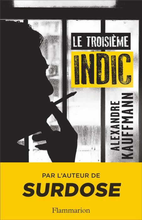 Emprunter Le troisième indic livre