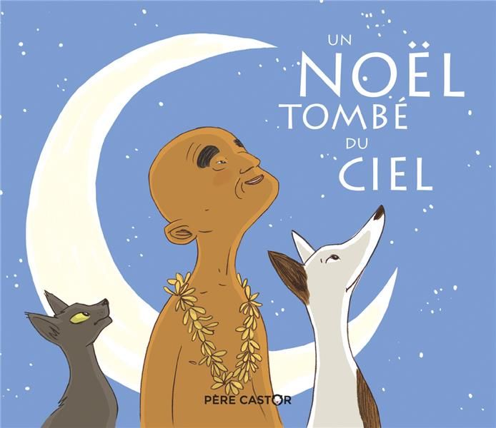 Emprunter Un Noël tombé du ciel livre