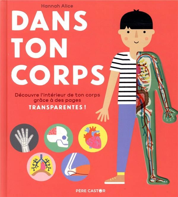 Emprunter Dans ton corps. Découvre l'intérieur de ton corps grâce à des pages transparantes ! livre