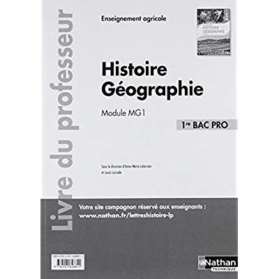 Emprunter Histoire Géographie 1re Bac Pro Module MG1. Livre du professeur, Edition 2017 livre