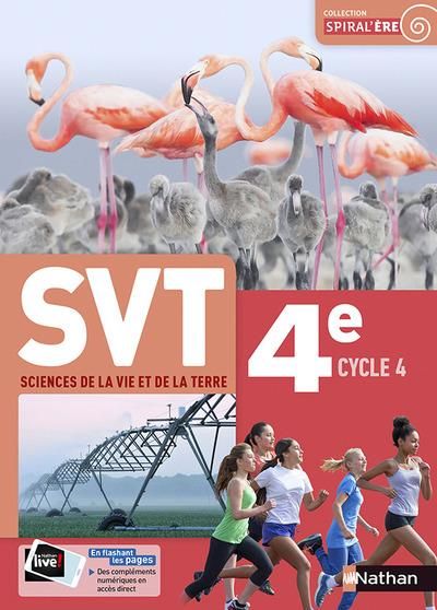 Emprunter SVT 4e Cycle 4 livre