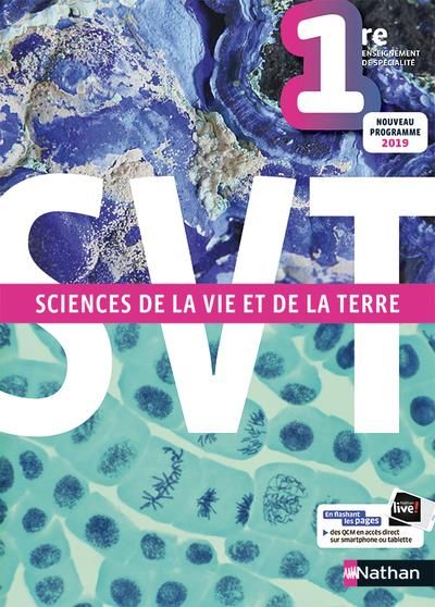 Emprunter Sciences de la Vie et de la Terre 1re. Enseignement de spécialité, Edition 2019 livre