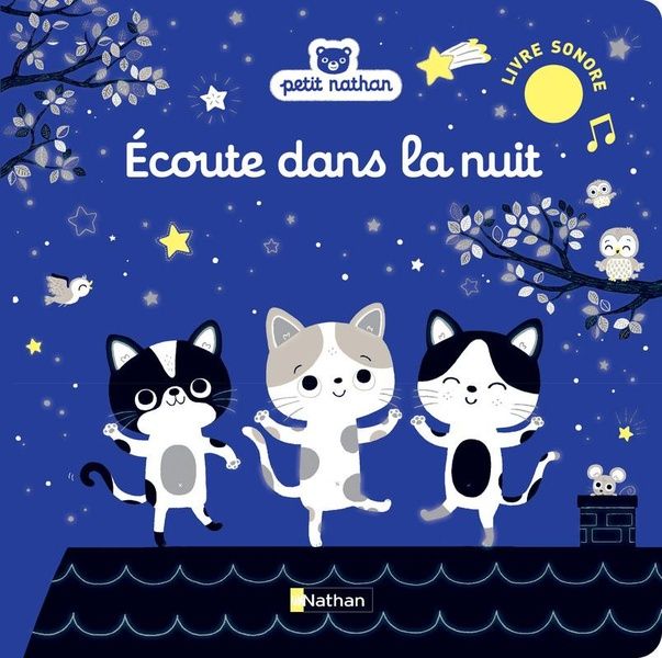 Emprunter Ecoute dans la nuit livre