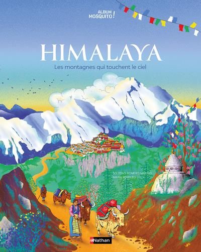 Emprunter Himalaya, les montagnes qui touchent le ciel livre