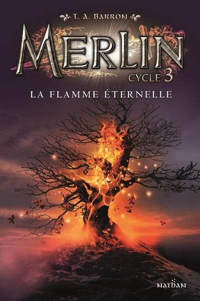 Emprunter Merlin Tome 3 : La flamme éternelle livre