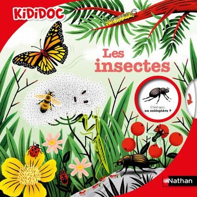 Emprunter Les insectes livre