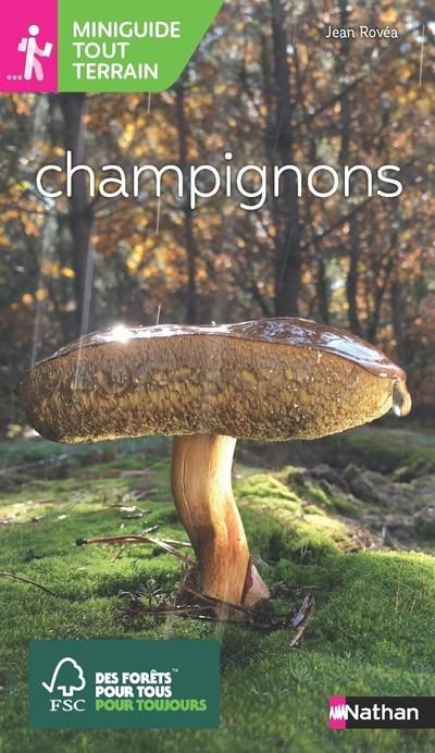 Emprunter Champignons livre