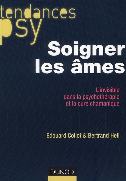 Emprunter Soigner les âmes. L'invisible dans la psychothérapie et la cure chamanique livre