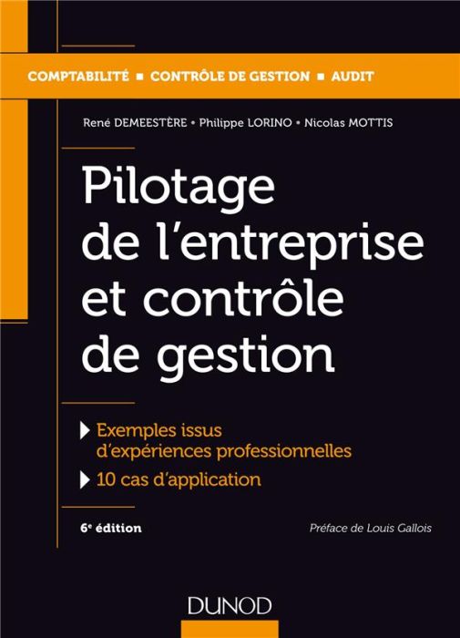 Emprunter Pilotage de l'entreprise et contrôle de gestion. Exemples issus d'expériences professionnelles %3B 10 livre