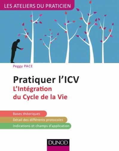 Emprunter Pratiquer l'ICV 2e edition livre