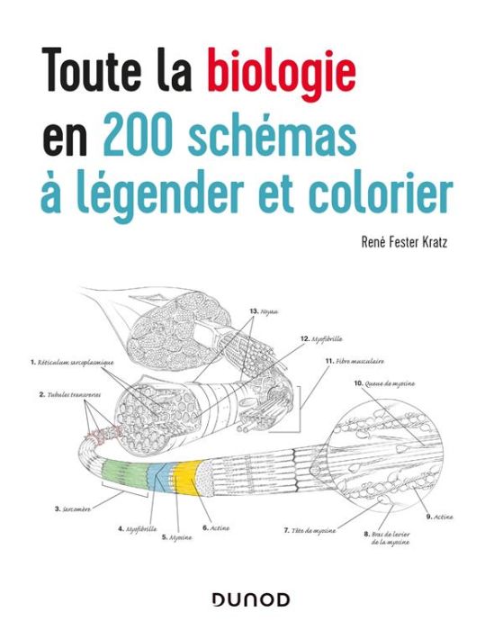 Emprunter Toute la biologie en 200 schémas à légender et colorier livre