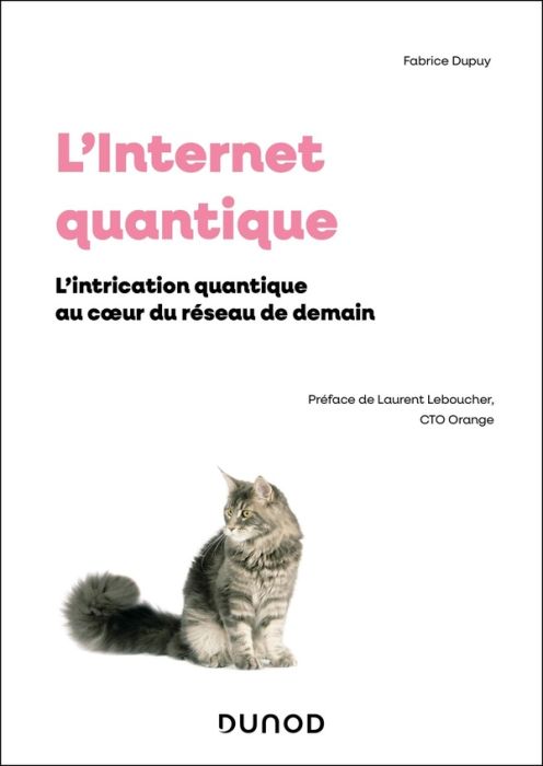 Emprunter L'Internet quantique. L'intrication quantique au coeur du reseau de demain livre