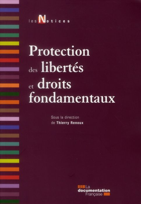 Emprunter Protection des libertés et droits fondamentaux. 2e édition livre