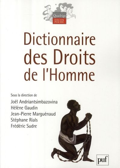 Emprunter Dictionnaire des droits de l'homme livre