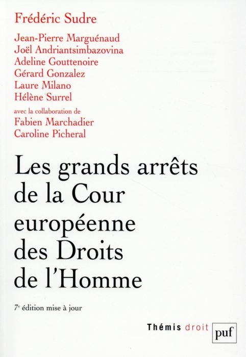 Emprunter Les grands arrêts de la Cour européenne des droits de l'homme livre