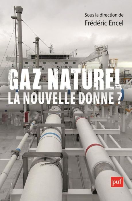 Emprunter Gaz naturel, la nouvelle donne ? livre