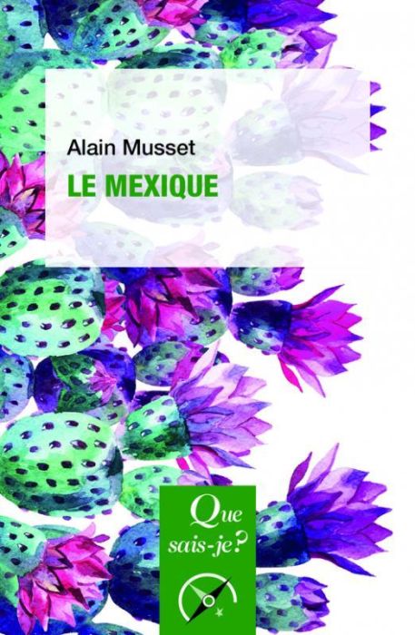 Emprunter Le Mexique. 4e édition livre