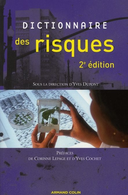 Emprunter Dictionnaire des risques. 2e édition livre