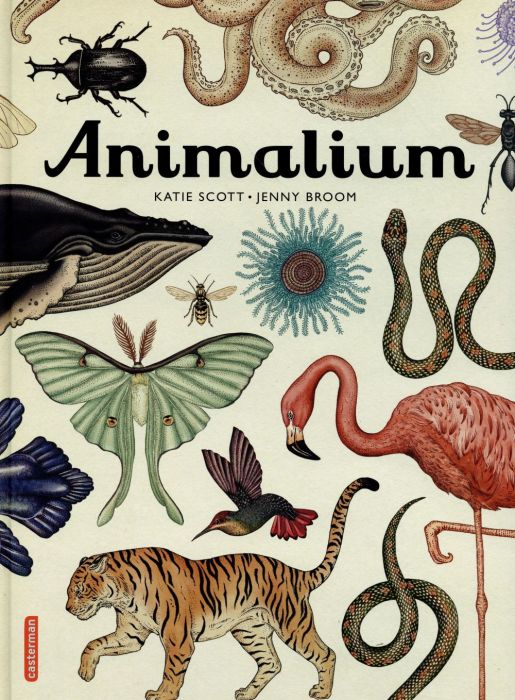 Emprunter Animalium livre