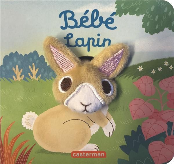 Emprunter Bébé lapin livre