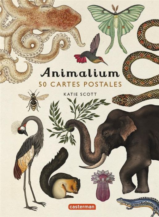 Emprunter Animalium. 50 cartes postales livre