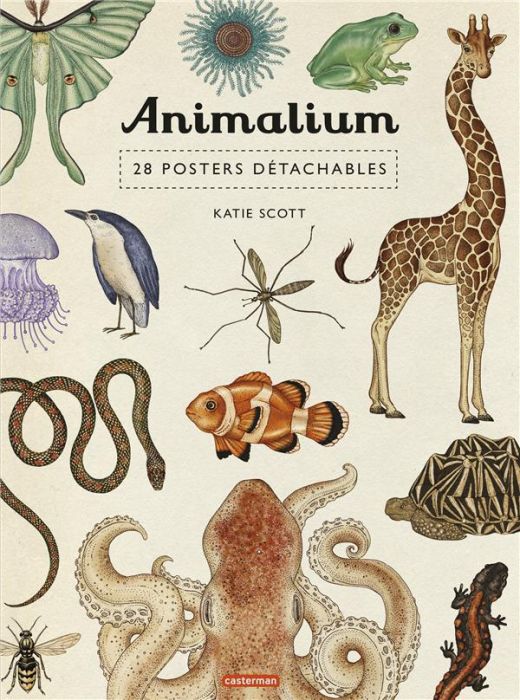 Emprunter Animalium. 28 posters détachables livre