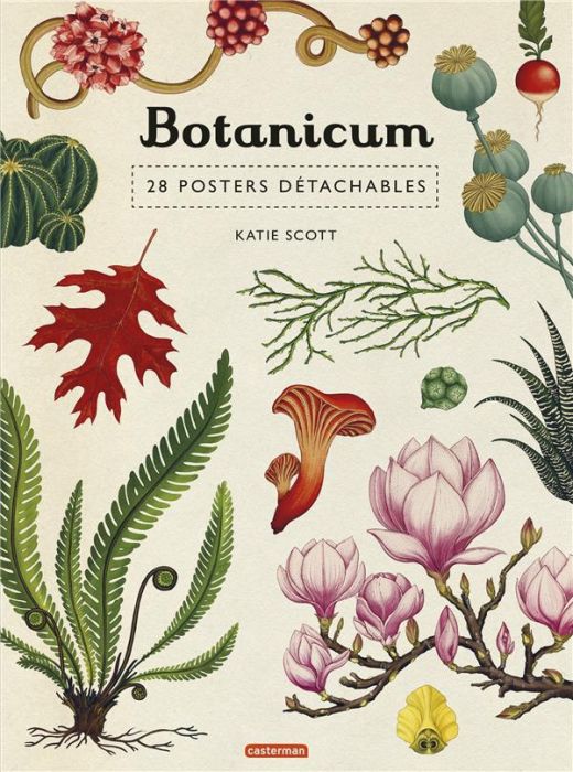 Emprunter Botanicum. 28 posters détachables livre