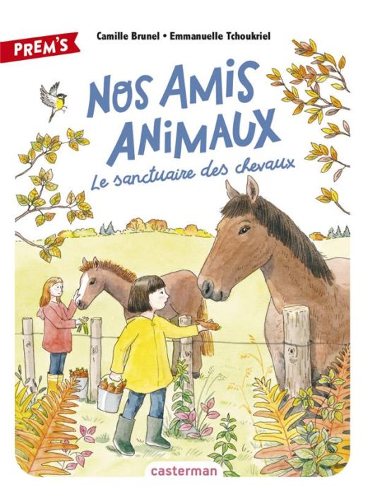 Emprunter Nos amis animaux Tome 3 : Le sanctuaire des chevaux livre