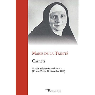 Emprunter Carnets. Tome 5, 