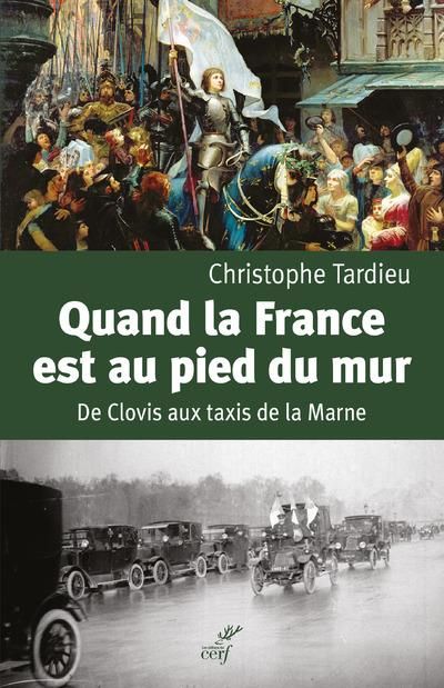 Emprunter Quand la France est au pied du mur. De Clovis aux taxis de la Marne livre