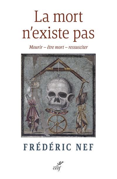 Emprunter La mort n'existe pas. Mourir - être mort - ressusciter livre