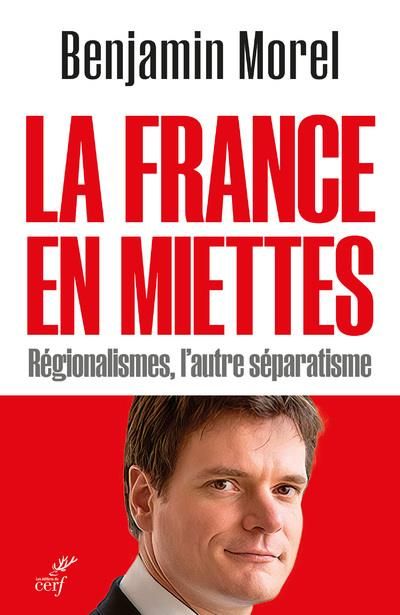 Emprunter La France en miettes. Régionalismes, l'autre séparatisme livre