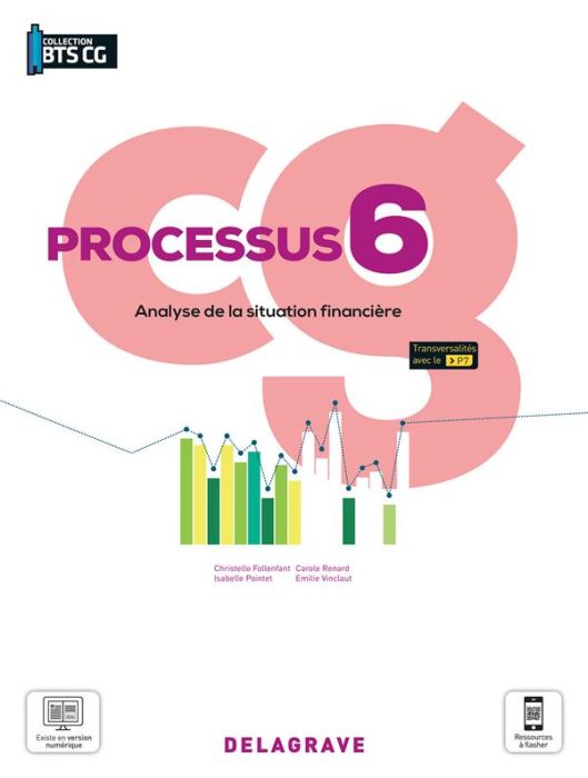 Emprunter Processus 6 Analyse de la situation financière BTS Comptabilité Gestion. Pochette élève, Edition 202 livre