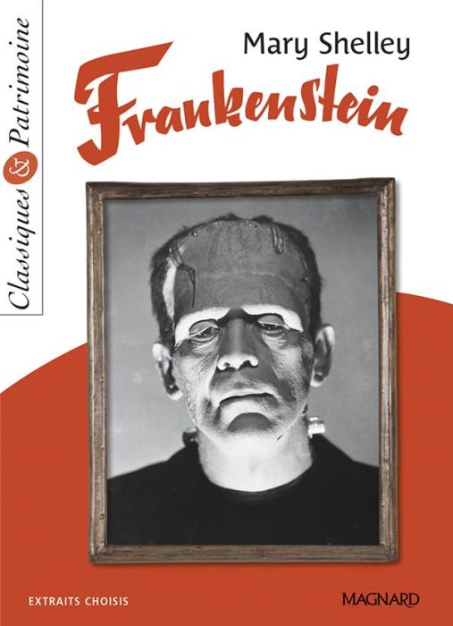 Emprunter Frankenstein livre