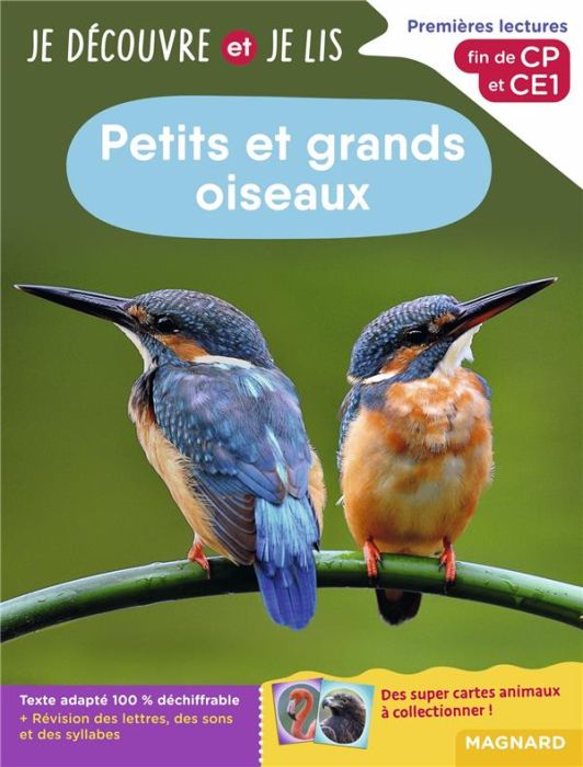 Emprunter Petits et grands oiseaux. Premières lectures, fin de CP et CE1 livre