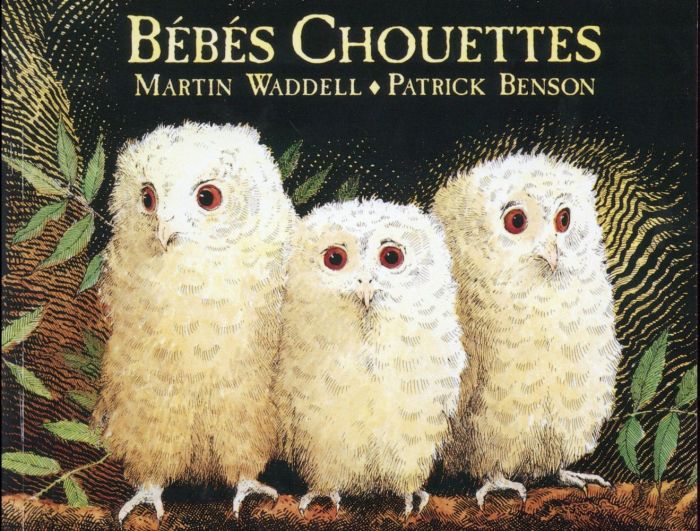 Emprunter Bébés chouettes livre