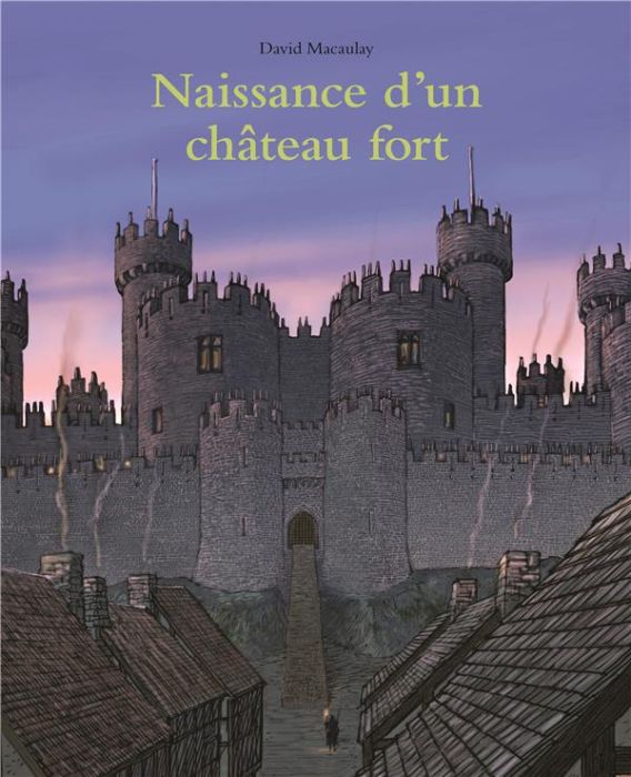 Emprunter Naissance d'un château fort livre