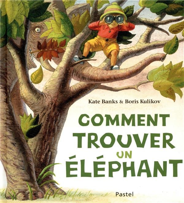 Emprunter Comment trouver un éléphant livre