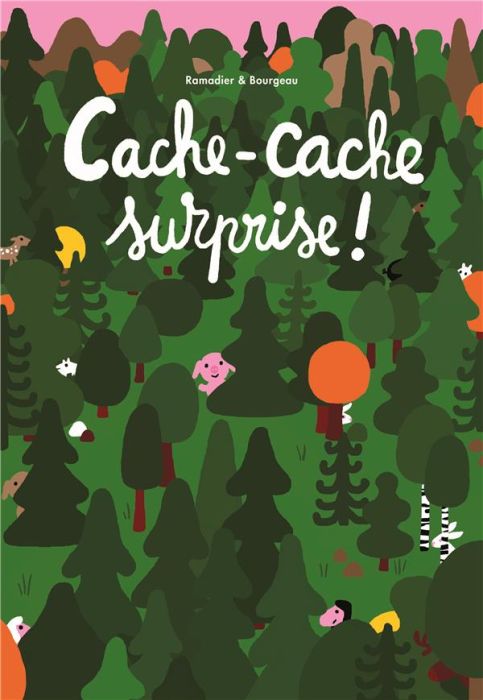 Emprunter Cache-cache surprise ! livre