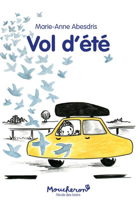 Emprunter Vol d'été livre