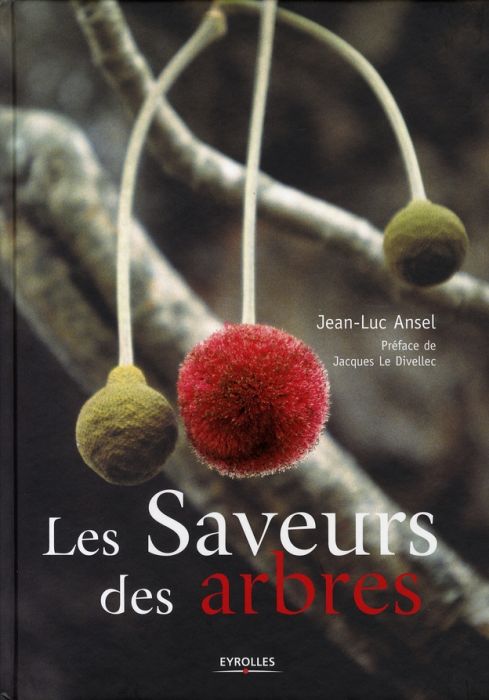 Emprunter Les Saveurs des arbres livre