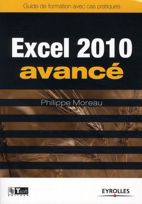 Emprunter Excel 2010 avancé. Guide de formationavec cas pratiques livre