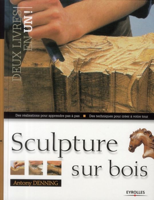 Emprunter Sculpture sur bois livre